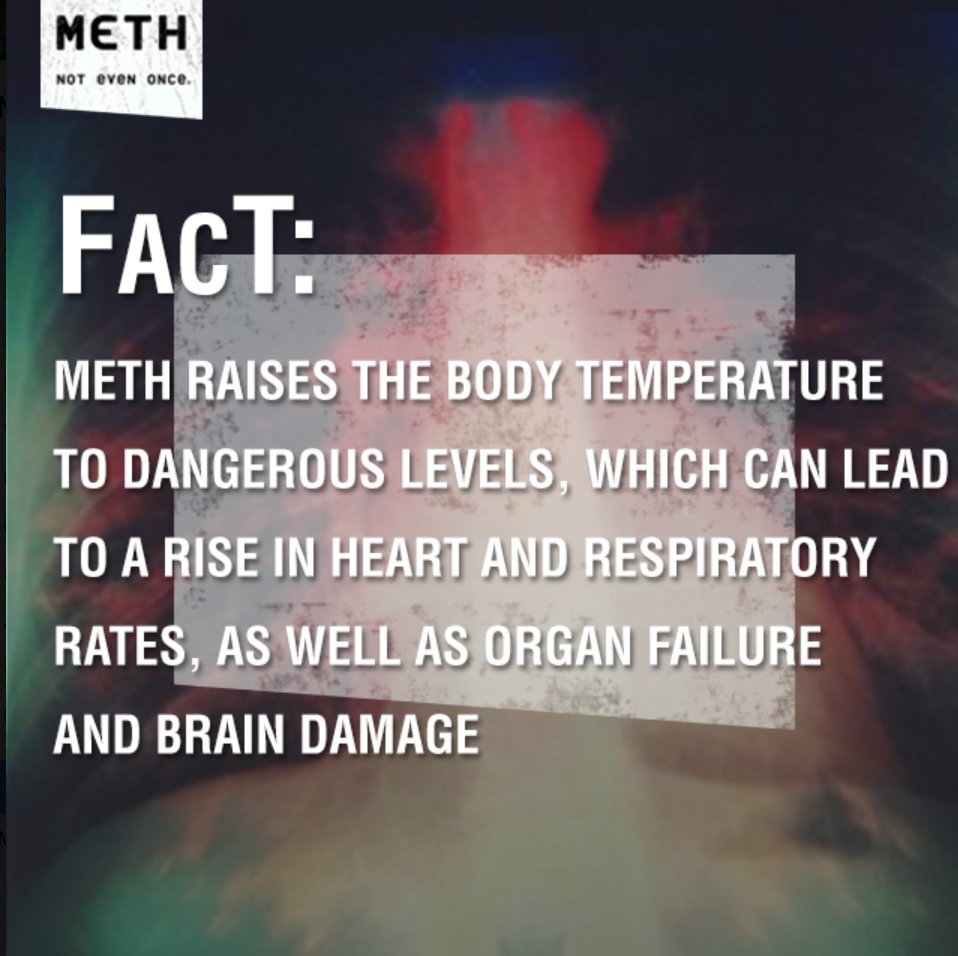 IDMethProject's tweet image. Meth not only affects your brain, but also your heart. Learn the truth about the effects Meth has on your body, both in the long and short term. #NotEvenOnce