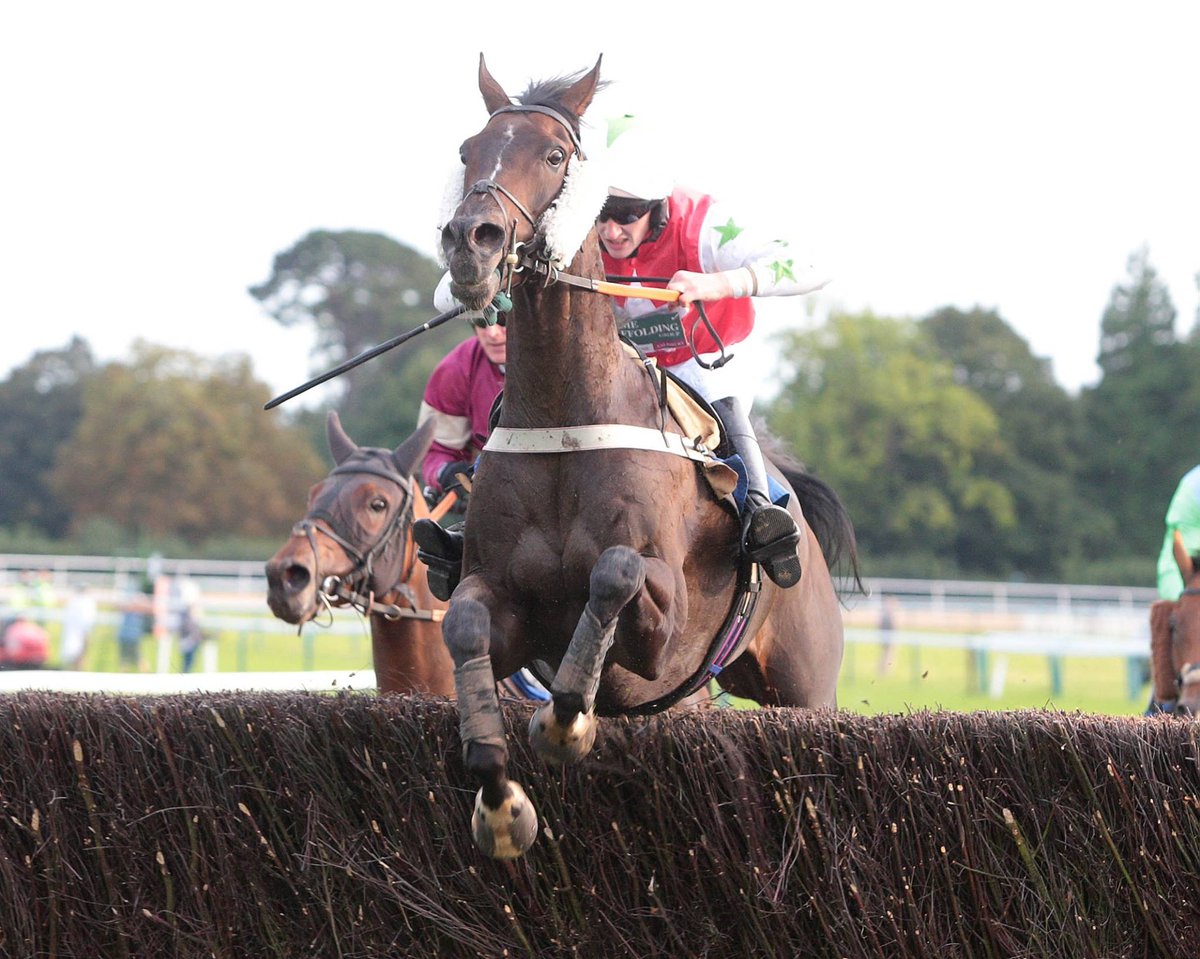 Fontwell Park (@fontwellpark) on Twitter photo HARDTOROCK, Declared by <a href="/SeamusMullins1/">Seamus Mullins</a> for Tomorrow!
A Previous Winner here at #Fontwell - and we can't wait to have the team back!
To be ridden by <a href="/SansomDan/">daniel sansom</a>! 👏
#Fontwell #FontwellRaces HARDTOROCK, Declared by <a href="/SeamusMullins1/">Seamus Mullins</a> for Tomorrow!
A Previous Winner here at #Fontwell - and we can't wait to have the team back!
To be ridden by <a href="/SansomDan/">daniel sansom</a>! 👏
#Fontwell #FontwellRaces