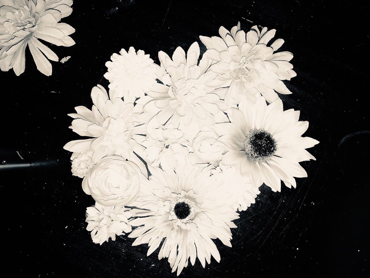 FPEproject's tweet image. They know what I mean #Trench