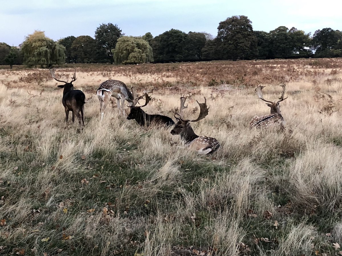 Bushy Park Sundowner