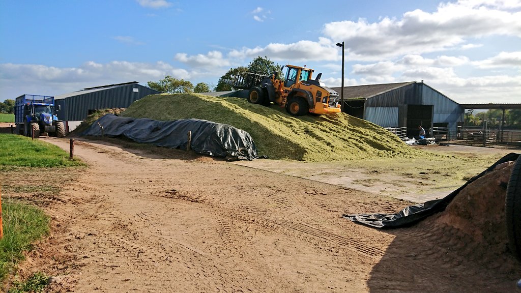 NoonanAgri's tweet photo. #Maize18 #ploughing #setting๐พ #lime https://t.co/M4WWJD4CAe