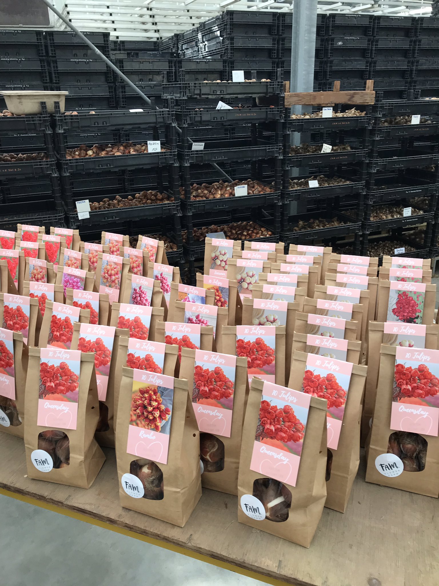 Linda vd Slot FAM Flower Farm on Twitter "We sent out the first