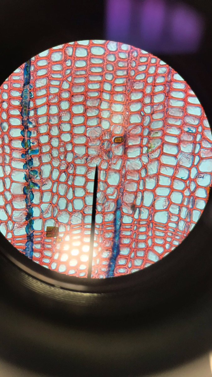 abbyycoxx's tweet photo. @pacehighbiotech #wemakescience https://t.co/uR78jwLFyM