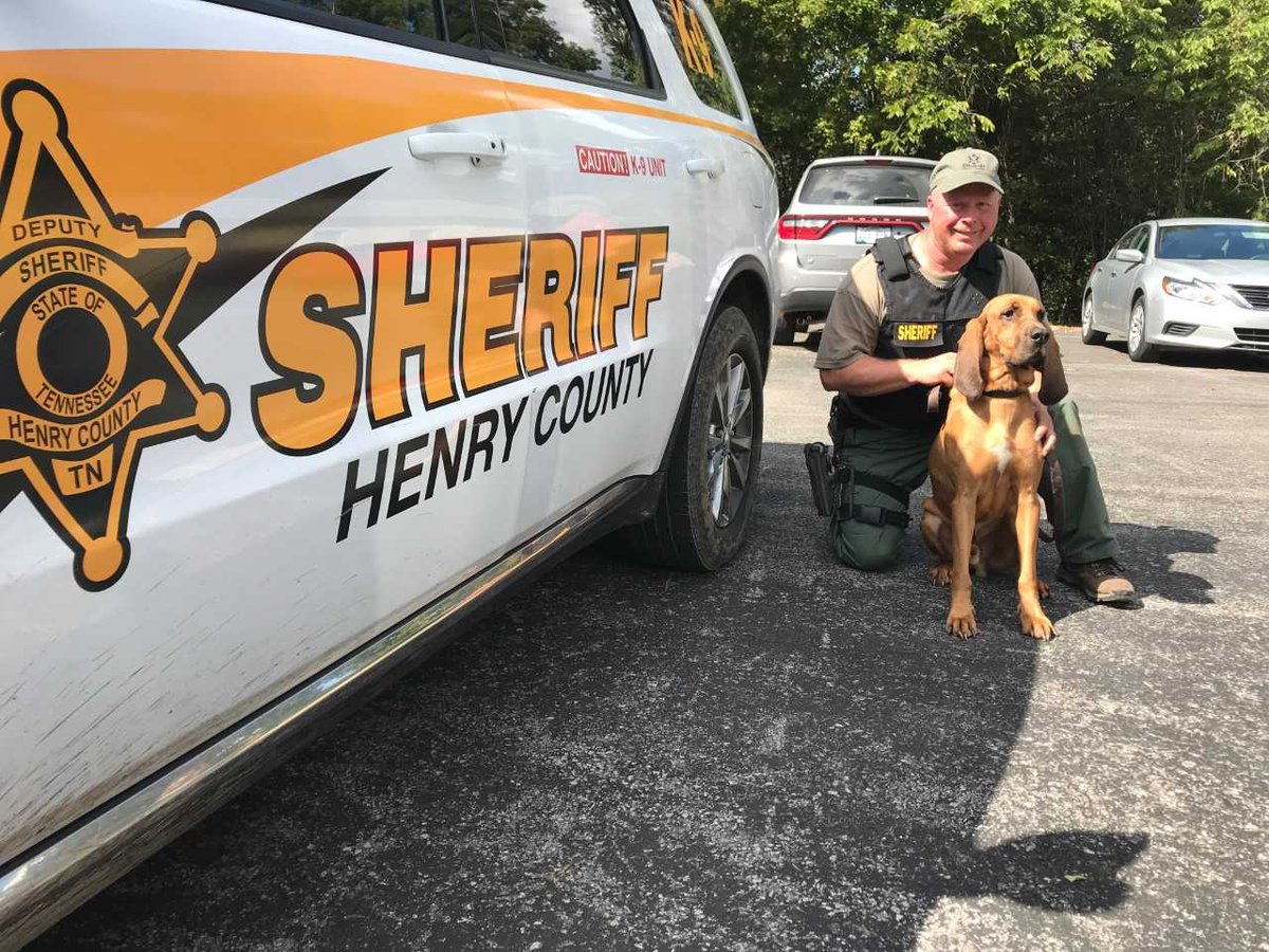 NC5's tweet photo. NEW: Rowdy, 5-year-old bloodhound with the Henry County Sheriff's office who helped in the capture of Kirby Wallace. https://t.co/3WjceTuJE1