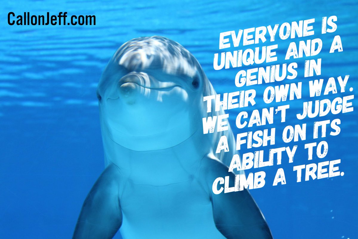 Jeff Arseneaux (@jeffarseneaux) on Twitter photo 