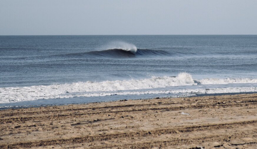 Andrés Alejandro Wodzak tweet media