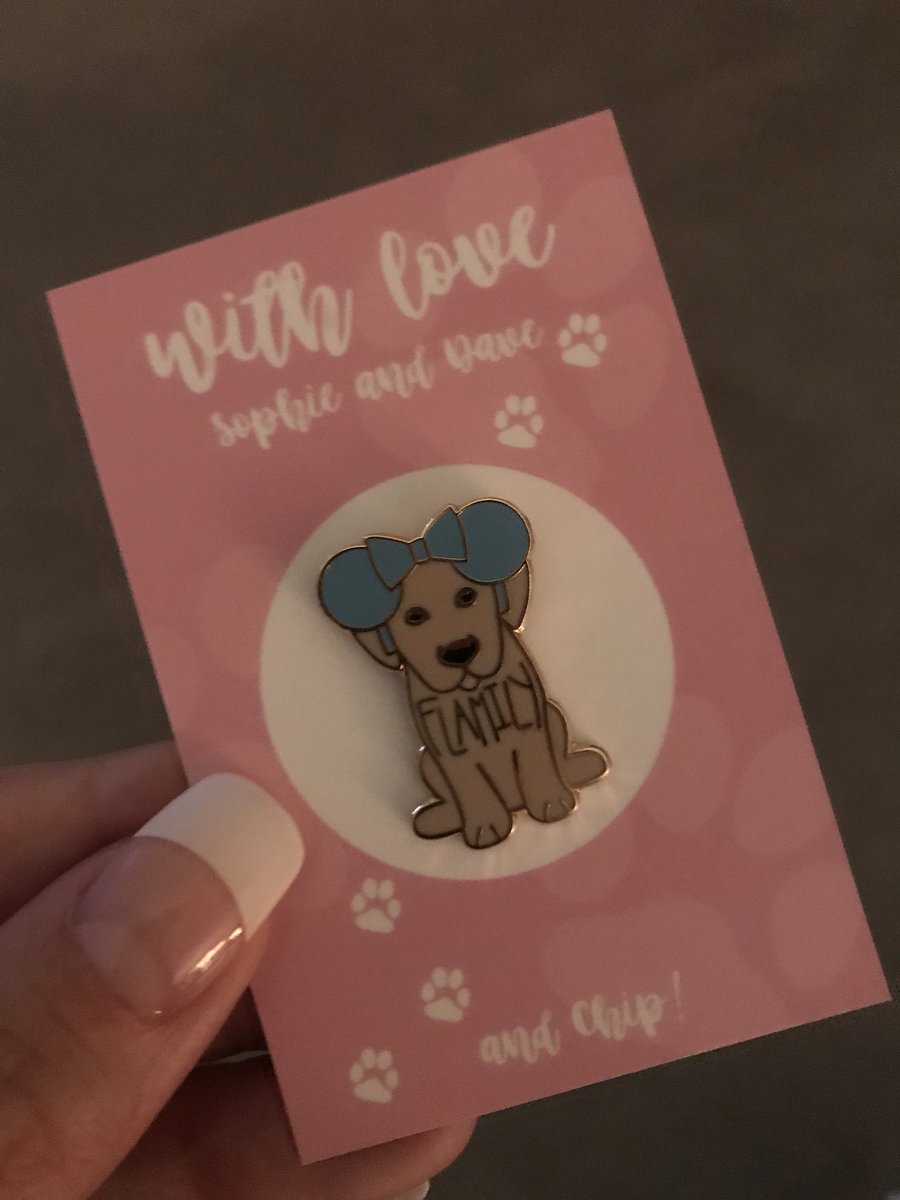 liz_1610's tweet photo. Our pin arrived just in time as we leave for WDW on tuesday ❤️ we will wear with pride around the parks (piccies will follow) @itsSophieBelle @TheDaveMonster #chipflamily https://t.co/ZUa6UFLEiI