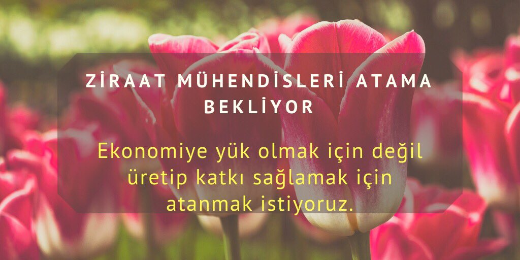 “ ReisErdoğan TarımaAtamaYap
sesimizi duyun sayın başkan
#ziraatmuhendisleriatamabekliyor