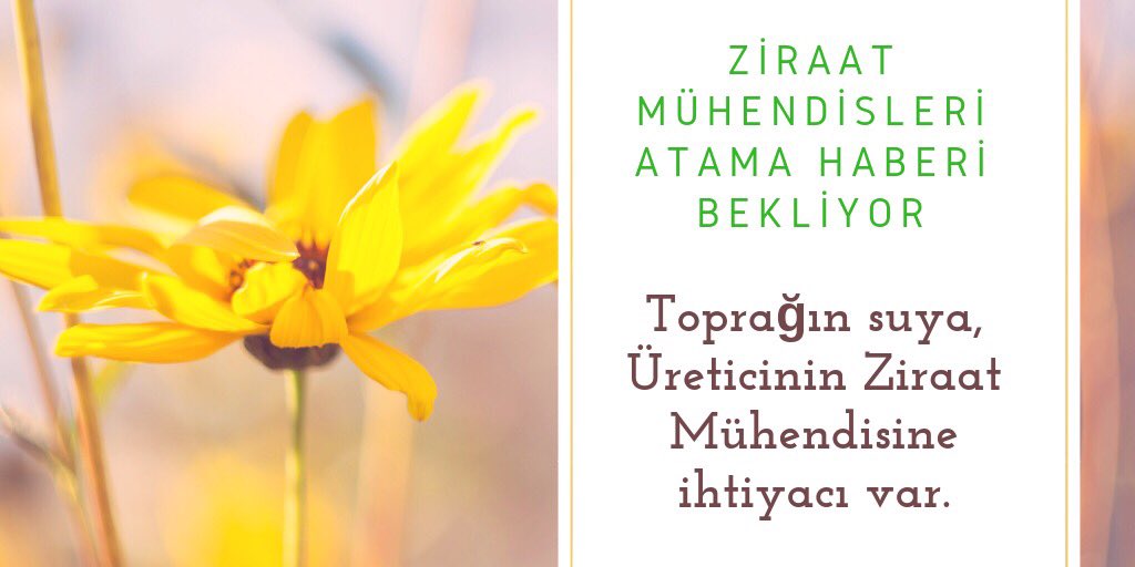 “ ReisErdoğan TarımaAtamaYap
sesimizi duyun sayın başkan
#ziraatmuhendisleriatamabekliyor