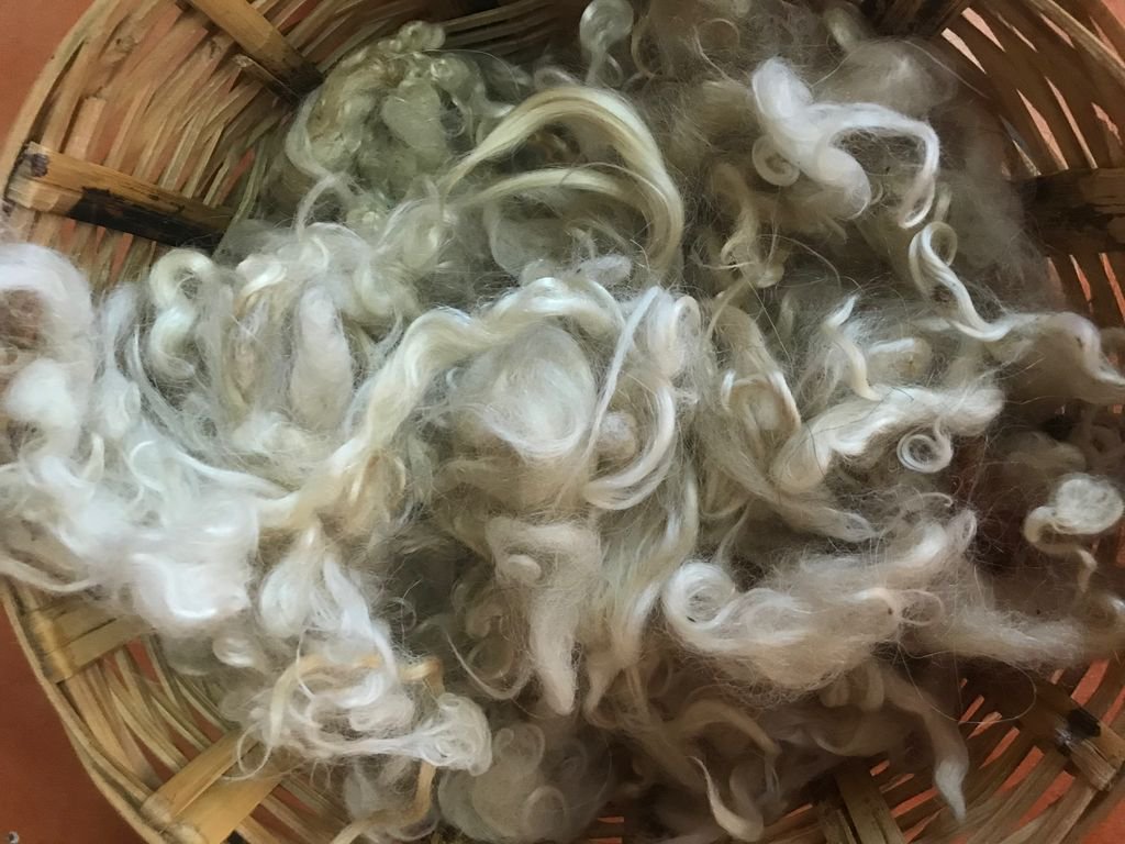 RookRender's tweet photo. When we say our pieces are 100% handmade we mean 100%. Our pieces start as raw wool, alpaca fiber, or cotton, is cleaned, spun into yarn, dyed, and woven ALL by hand. Learn more about our process including design via link in bio.

#handmade #handwoven #homedecor #exclusivedesign https://t.co/VkmVnDjtuD