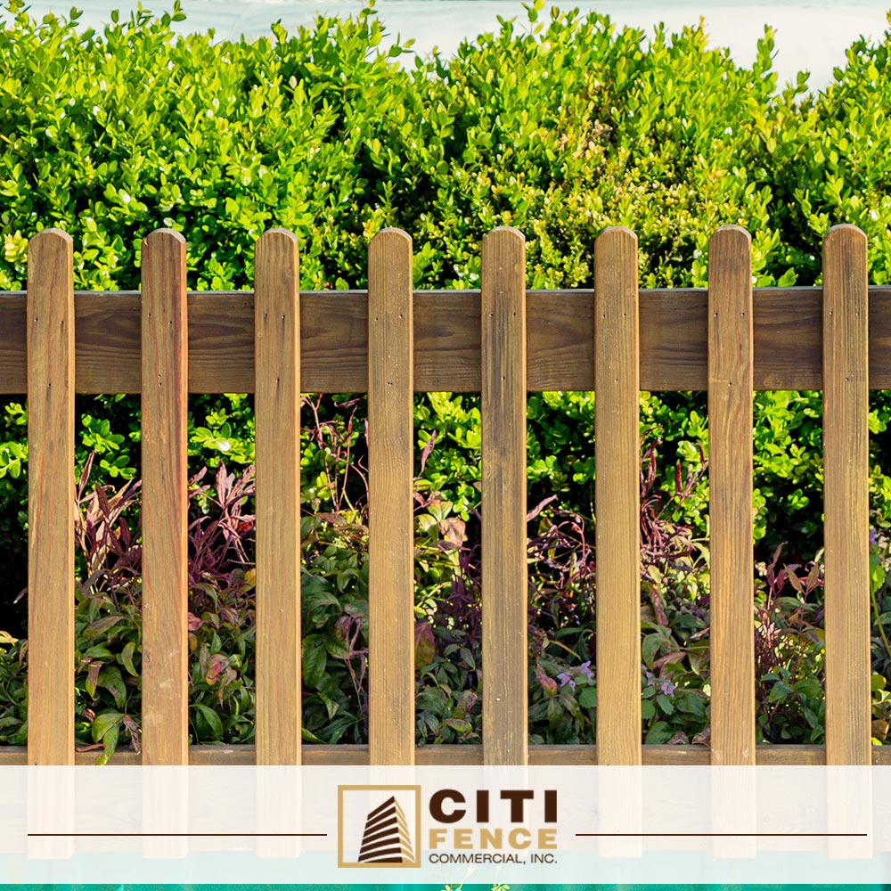 CitiFence's tweet photo. Lettice Wood Fencing in #Houston - Steps for Maintaining Your #WoodFence. Read Full Article HERE > https://t.co/85oCqZtIvF https://t.co/aytN3LblW8