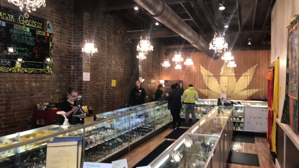 LeafOpsApp's tweet image. Visiting a beautiful operation here in WA @GanjaGoddessWA. All dispensaries need lazers 😍