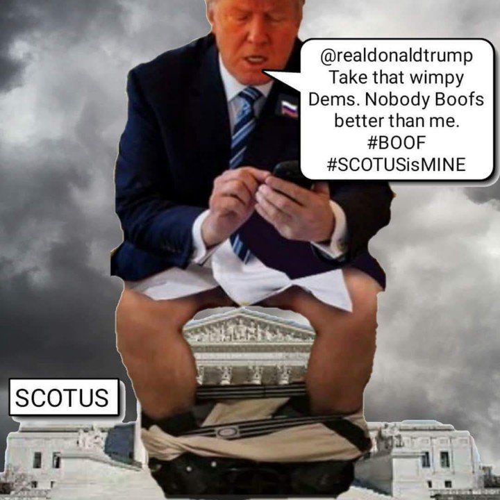 newhampster's tweet photo. Susan Collins helped tRump in the greatest/worst #Boof ever @realdonaldtrump #scotus #KavanaughVote #stopkavanaugh #ITMFA https://t.co/jWiJGCyfgG