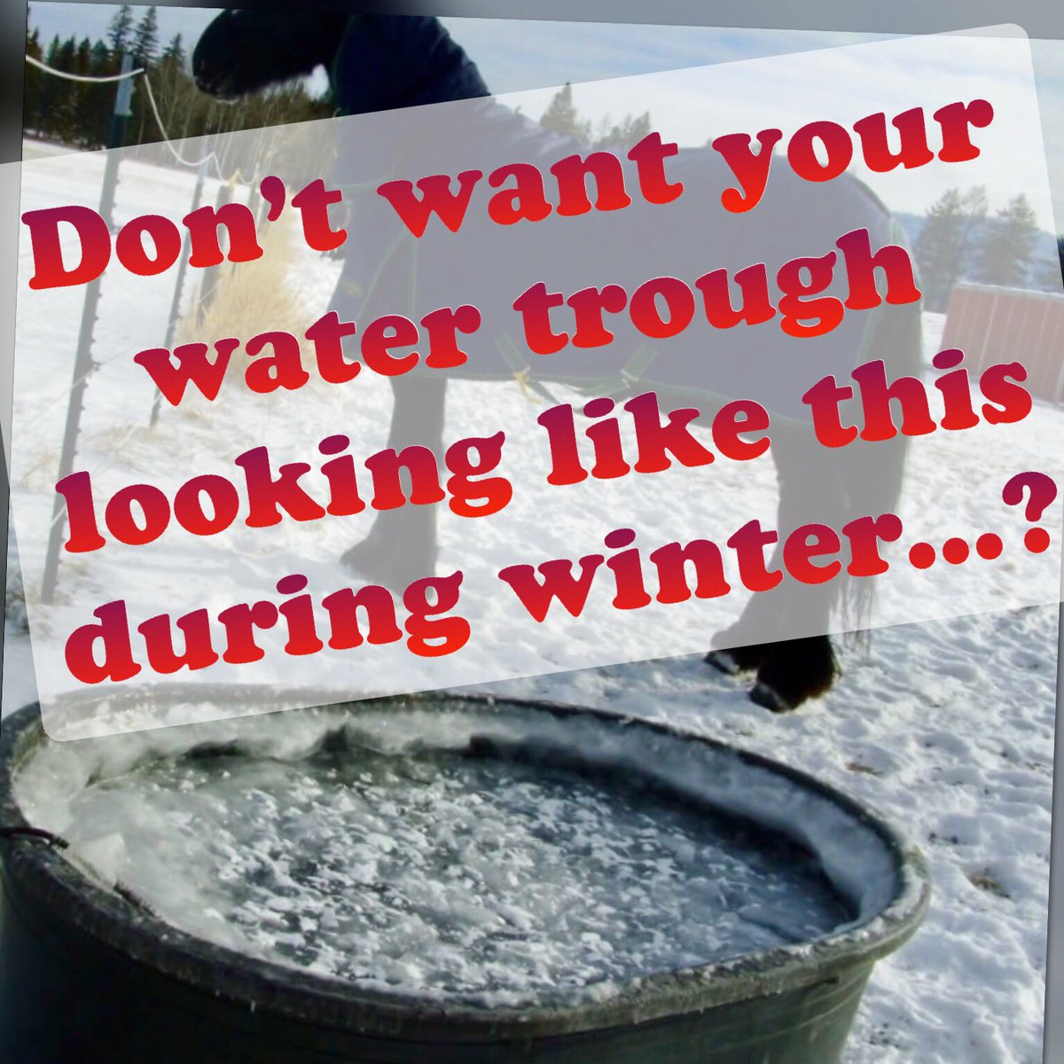 We’re here to help! We have water de-icers in stock!! So you don’t have to deal with a trough like this during winter.. 
Floating, sinking, drain plug, heated poultry waterers, heated pet bowls...we have them all!