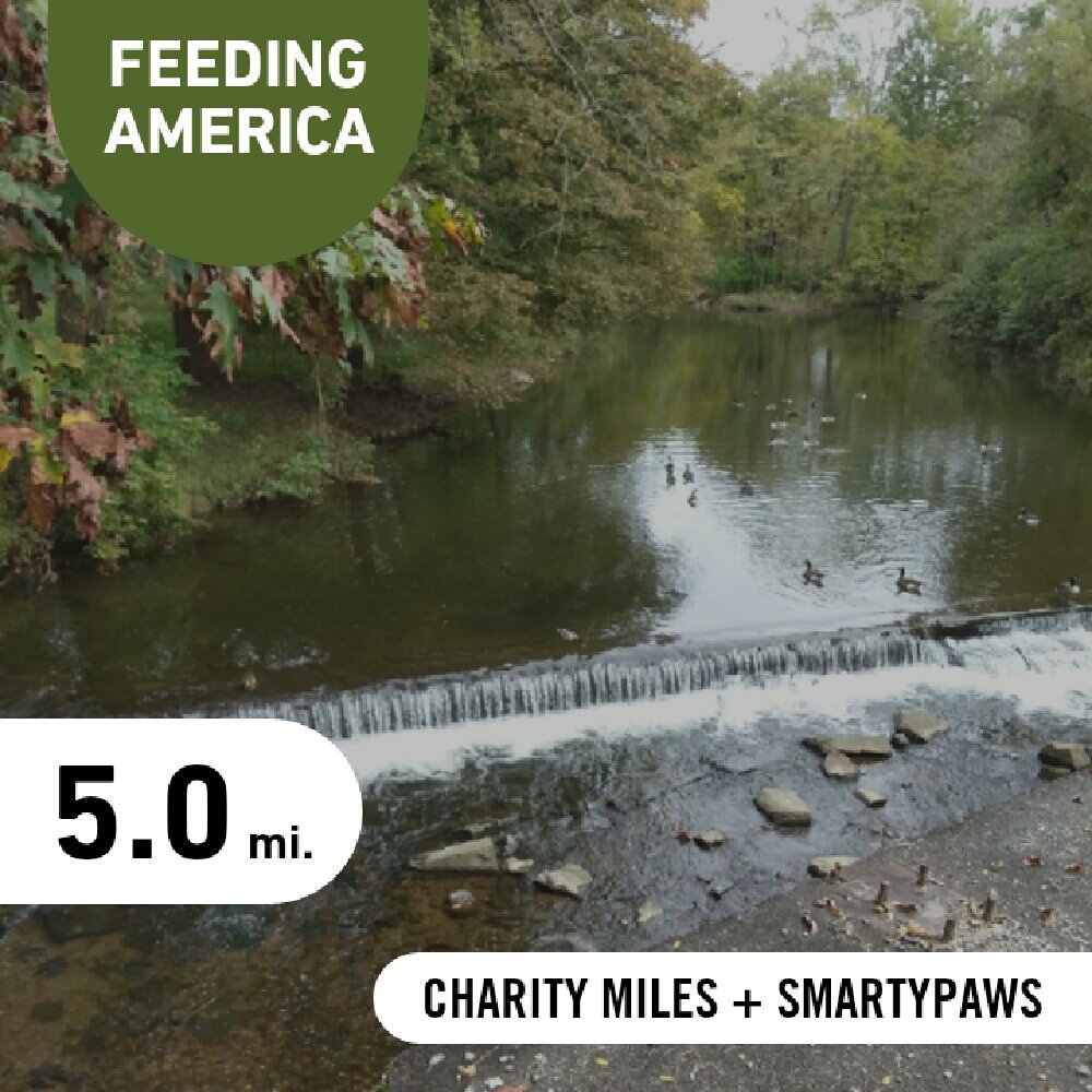 gna35runner's tweet image. #HappyFriday
Did a little bit of speed work and was happy with the result
5.0 @CharityMiles for @FeedingAmerica
Thx @SmartyPaws for sponsoring me!#earthathon #runshine #squadrunner #NAFlagVisorIII #runner #running #health #wellness #happiness #fitness #goals #friyay #weekendvibes