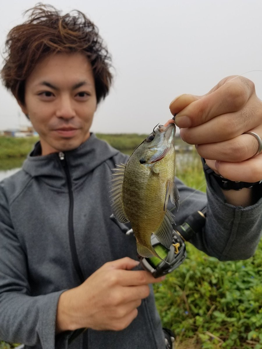 グラスミノーss グラスミノーss