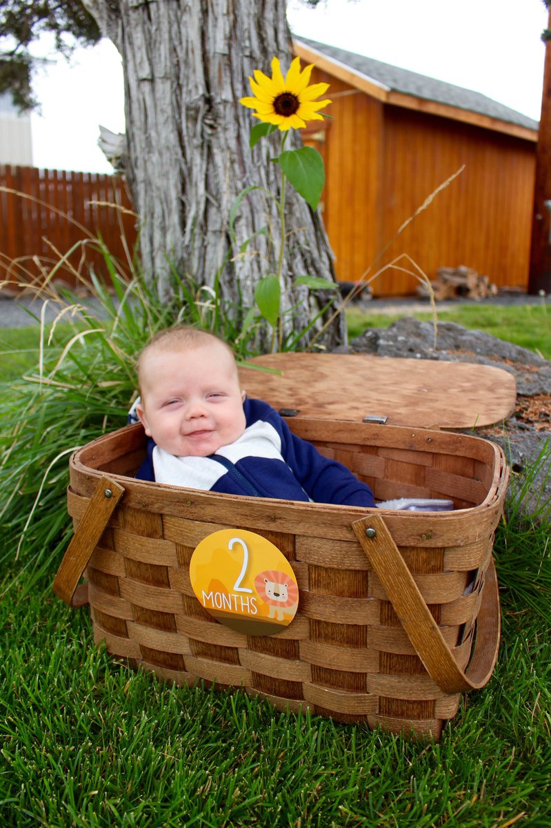 This guy is Two months already !! Baby in a basket 😍😍.