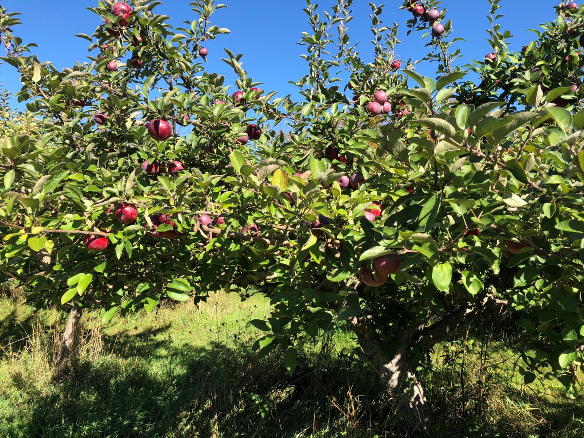 Laura Sabourin tweet media