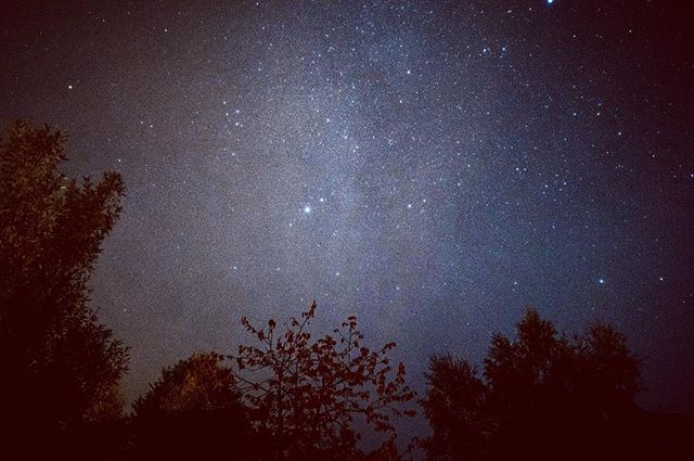 AndyCMacp's tweet photo. The ‘view’ from our back garden, my first ever attempt at astro photography and I think this could be the Milky Way? ISO12800 25mm f2.0 2.0s
.
.
.
.
.
#sonya7iii #sonyalpha #sony #A7III #sonyalphagallery #zeiss #batis25 #photopills #astophotography #nightsky #aberdeenshire https://t.co/vJUEvYISVC