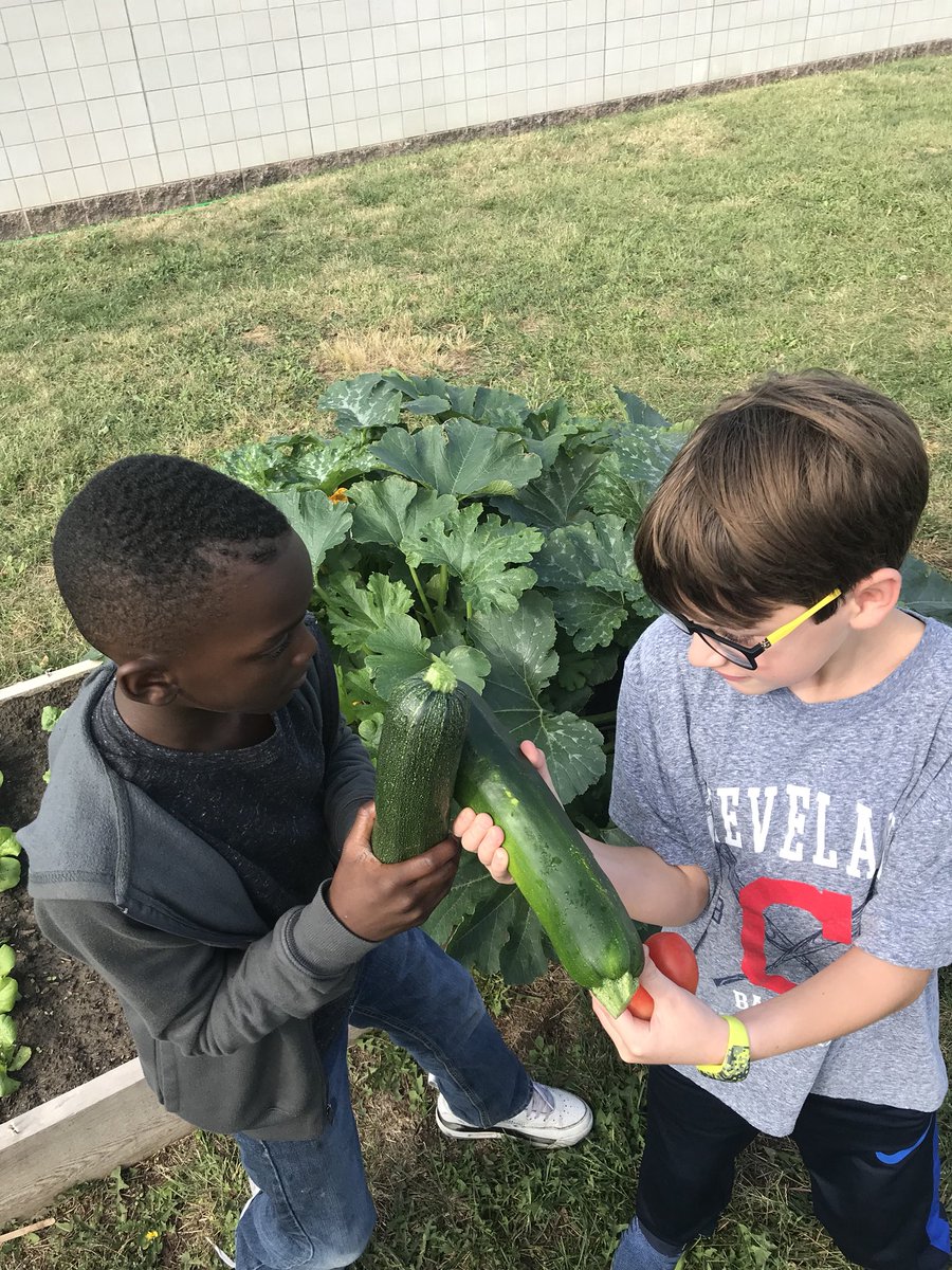 Zucchini harvest time <a href="/RStar512/">Rising Star Elementary ⭐️</a> and then a little “sword fight”