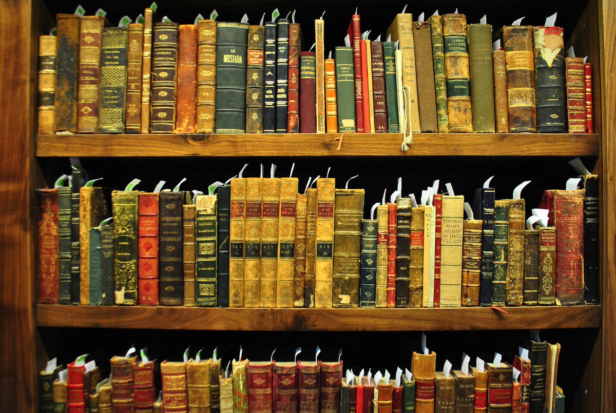 read mehr verkaufserfolg durch selbstcoaching überflügeln sie sich selbst in 21 tagen zum quantensprung 2007