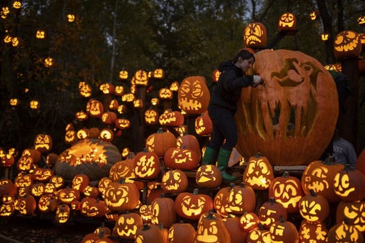 StribGoingOut's tweet photo. 5,000 carved Halloween pumpkins light up @mnzoo for first time https://t.co/FctdBMTflX https://t.co/80JEyeEm8T