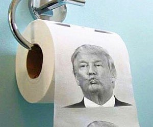 Bath Trump Toilet Paper 2 Rolls In Canada Home Garden Gefradis Fr