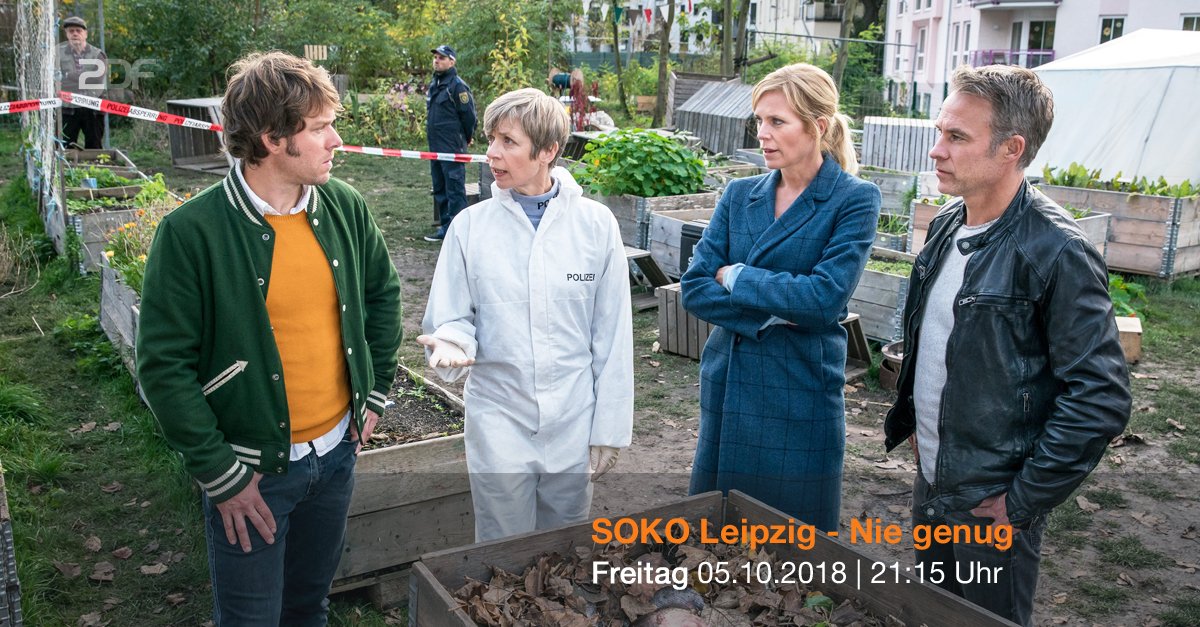 Sokoleipzig Twitter Search