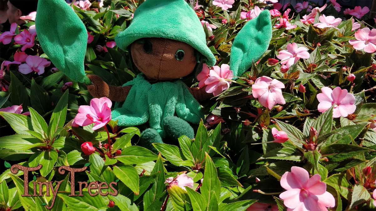 And just like that, the first week of October is over! Fisaven wishes you a fun weekend and lots of rest! Take time for yourself, friends!

#indiedev #gamedev #boardgame