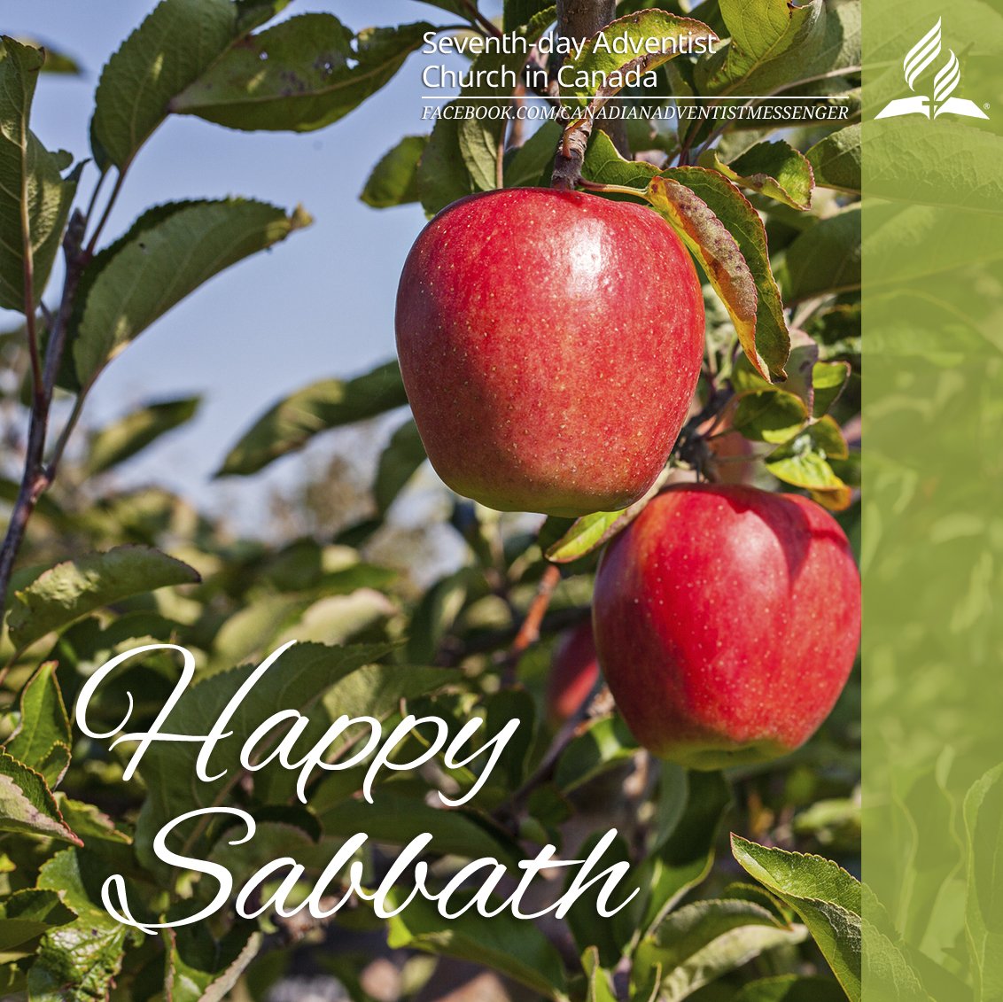 Adventist Messenger on Twitter:
