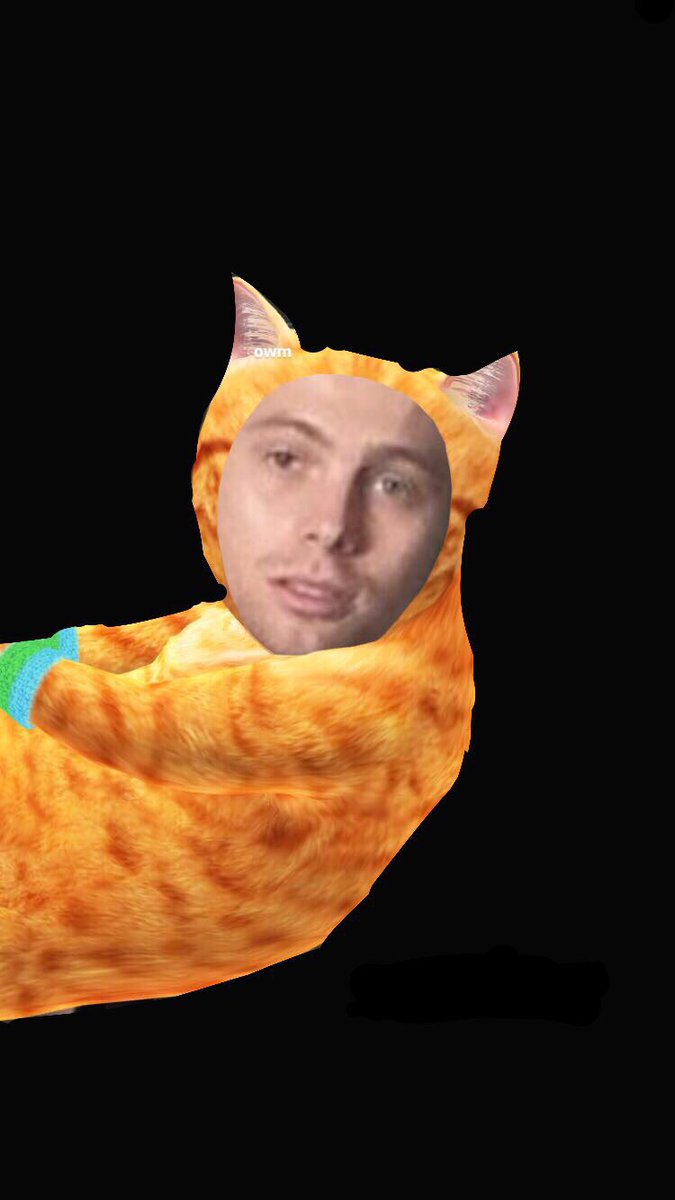 obsessedwithmgc's tweet photo. my cat is sooo cute 🖤 https://t.co/1IZR6QDTnb