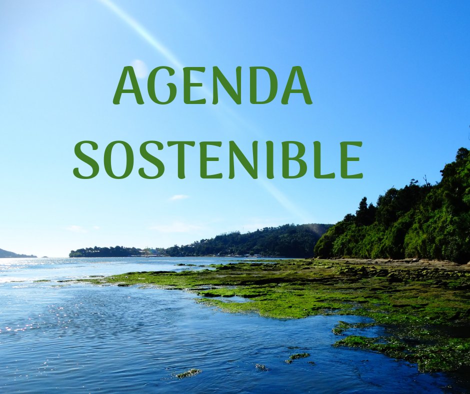 rabelo_uy's tweet photo. ✅🗓 Mirá la #AgendaSostenible hasta el 11/10 ➡ https://t.co/Pt7qBwBjXC 🌎🌱♻️🔅💦 #Uruguay #Rabelouy #ComunicacionSostenible #sustentabilidad #desarrollosostenible #ODS #Medioambiente #Educación #ImpactoSocial https://t.co/K9E9buWPiL