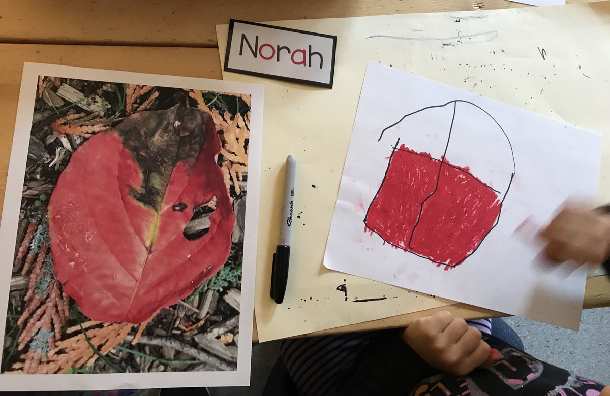 Connecting back to our #wildernesswednesday walk this week... Which medium do you connect with to show your ideas about Fall? #sd37