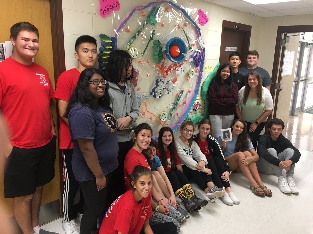 MrsLPatterson's tweet photo. But first, let me take a CELL-fie...😜👩🏻🔬🔬 #APbiology #CellProject #SHStradition #SteinertPRIDE #ProudTeacherMoments @SHS_Sentinel17 @PrincipalWebber @VPBRAZILSHS @ScottRRocco https://t.co/nfN2jjxg6T