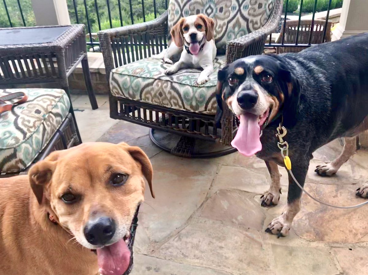 swin_116's tweet photo. Knox, Charlee, and @hankbeamer talking strategy for tomorrow’s big game. #hokiehounds https://t.co/hmVghuLhmz