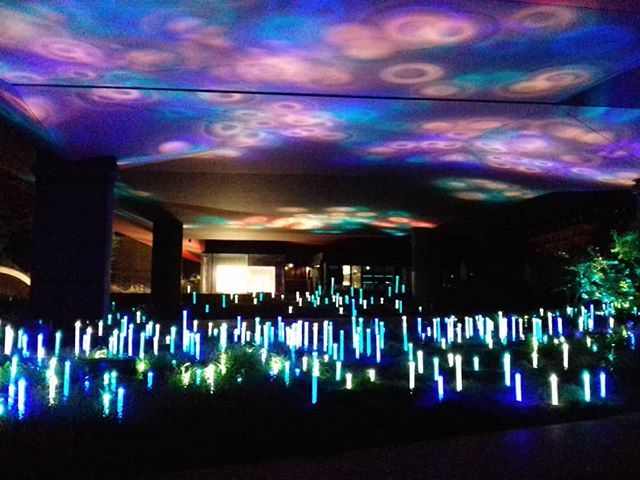 sudiste78's tweet photo. Fin de journée bien sympathique au @quaibranly... Vraiment un de mes musées parisiens préférés #museumaddict #nocturne #lumiere https://t.co/IHBVItUbVj https://t.co/Knb2XytRwL