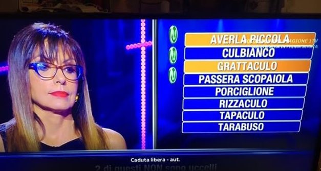 Trash Italiano tweet media