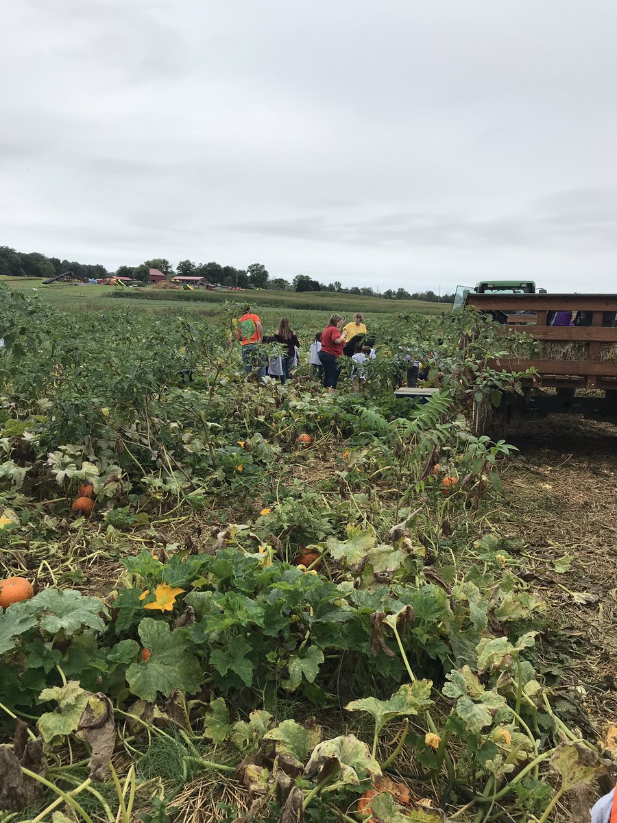 KinderFunwithPeng tweet media