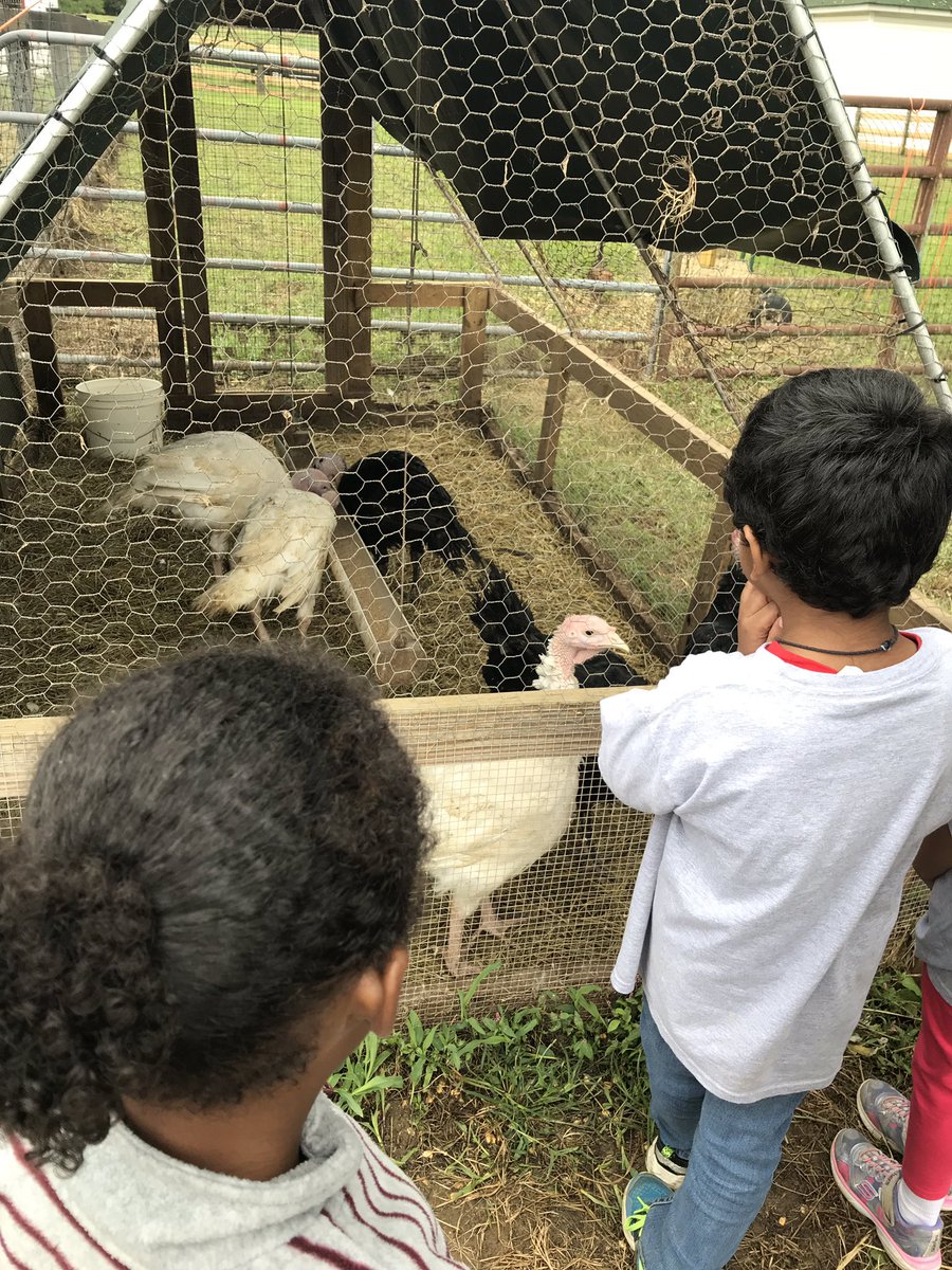 KinderFunwithPeng tweet media