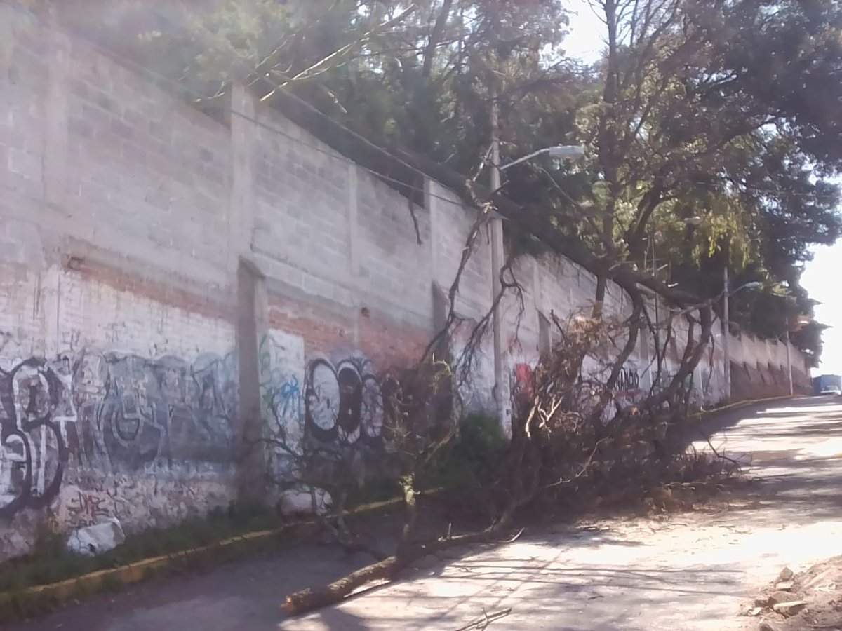 ElTanqmc's tweet photo. @ALaMagdalenaC @Paty_OrtizC  buenas tardes, pedimos su apoyo, ya que en calle capulines, colonia el Tanque se cayó un árbol y algunas de sus ramas quedaron colgadas de los cables de la luz https://t.co/aZaxMwxGTY