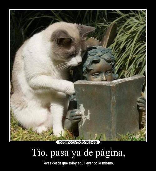 MachitoTears's tweet photo. #DiaMundialdelaSonrisa 😄  #Sonrisa #sonrie #Risa #Humor #Libros #lectura #gatos #FelizFinde #Finde #mascotas #Video #Findesemana #Elite #SabadoDeGanarSeguidores #6deOctubre #teletuvips https://t.co/jYfPK4BZqq