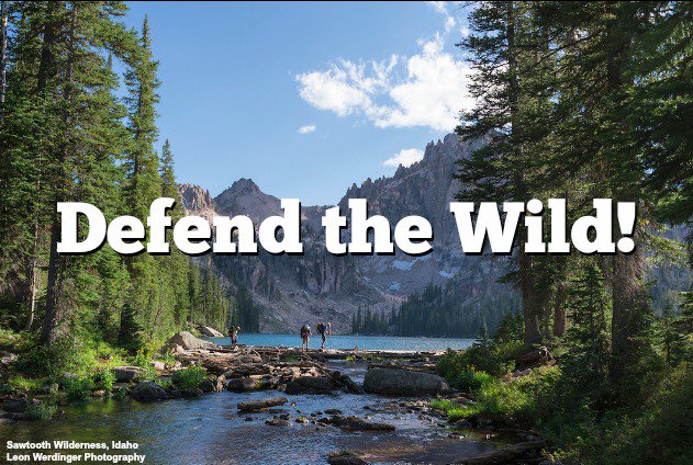 WildernessWatch's tweet image. #HowYouCouldHelpIn5Words

Act to Keep it Wild: bit.ly/DefendtheWild