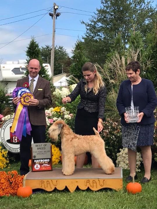 Silkcroft's tweet photo. Blane wins BEST OF BREED @Hatboro Championship #dogshow 2018! Well Done Blane and Team Keepsakes๐ถ๐ช๐ปโ
#scwt #iscwt #wheaten #softcoated #wheatenterrier #softcoatedwheatenterrier #dogshow #wheatensoftwitter #bbn #teamsilkcroft #hatboro #teamkeepsake @scwtca https://t.co/47dmVM2Yqh