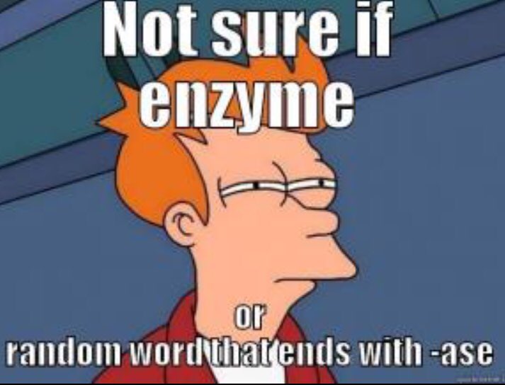 vote_ribo_2018's tweet photo. It can be tricky! Proteins are quite complex😉 #VoteRibosome #OrganelleVote #GootAPBio https://t.co/aDkdVeK8Km
