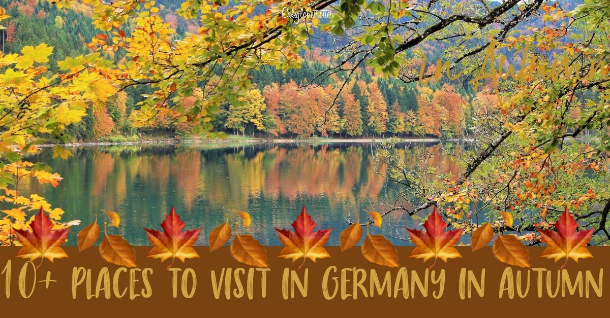 2travelingtxns's tweet photo. 10 Places To Visit Germany in Autumn https://t.co/19ZpuPBL7q #Altweibersommer #Autumn #AutumnTravel #FallFestivals #FallFoliage #FallTraditions #FallTravel #GermanyAutumn #GermanyTravel #HerbstDult #IndianSummer #TravelGermany via @Caliglobetrotr #TheWeeklyPostcard https://t.co/rNME1utRwi