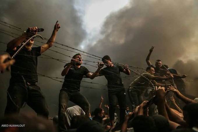 View image on Twitter