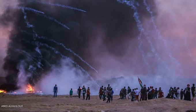 View image on Twitter