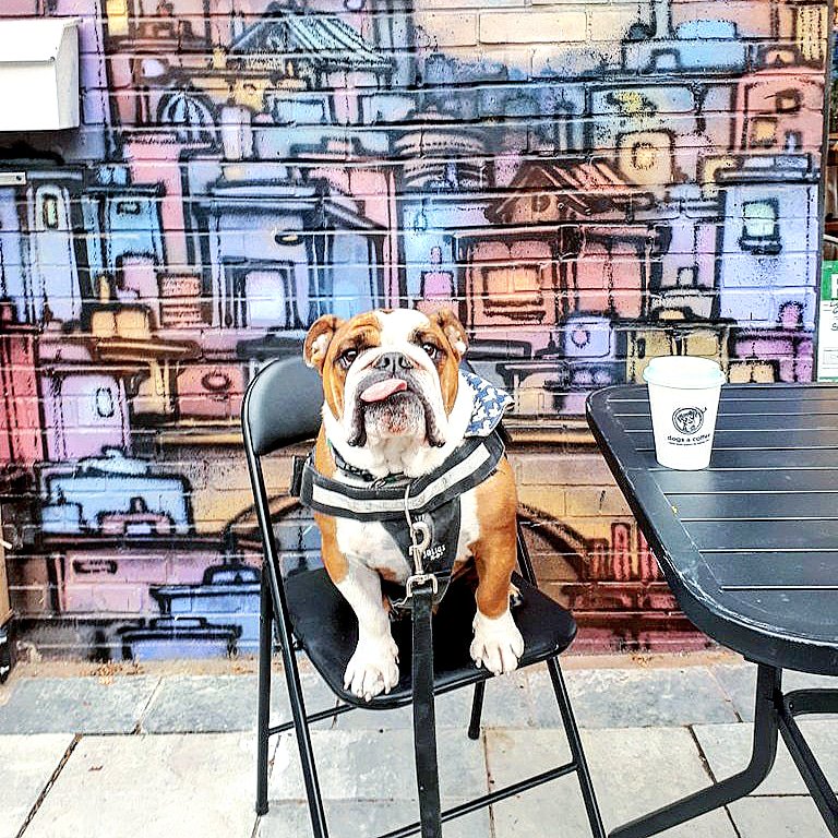 ClavisSocial's tweet photo. Happy Friday before Canadian #Thanksgiving, everyone! The team decided to take our coffee break at @dogsandcoffeeto. 

Tip: try to remember to snap some pictures at your business' social events. They make great posts to show off your company's personal side! 

#MakeSocialSimple https://t.co/uVIqLuJuDZ