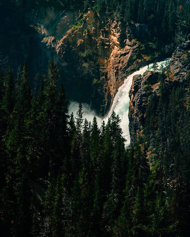 btmtblog's tweet photo. Lower Falls, Yellowstone National Park
#yellowstonenationalpark #Yellowstone #nps #waterfall #river #landscape #sunlight #mountains #wyoming https://t.co/xyWHUzoKEP https://t.co/f5e0YbNEj5