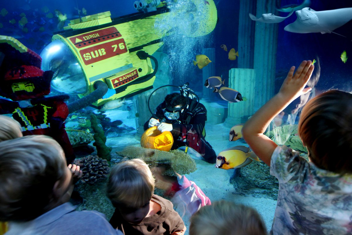Legoland California Sea Life Aquarium